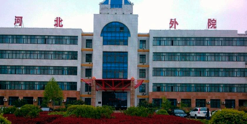 Хэбэйский Институт Международного Бизнеса и Экономики