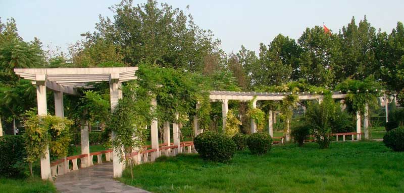 Хэбэйский университет экономики и бизнеса