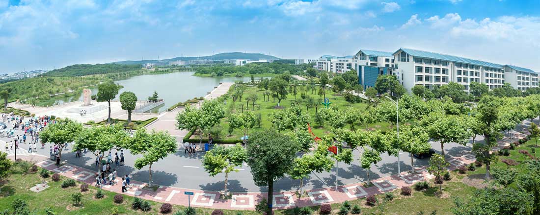nanjing insitute нанкинский институт