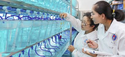 Southern University of Science and Technology Scholarships